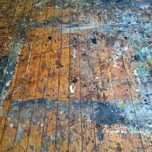 Painted Shield: Painted Shield