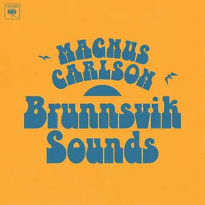 Carlson Magnus: Brunnsvik sounds