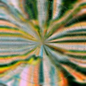 Hoffmann Nils: Everlight