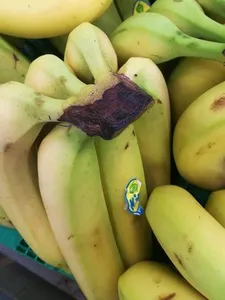 Banane(côte d'Ivoire)
