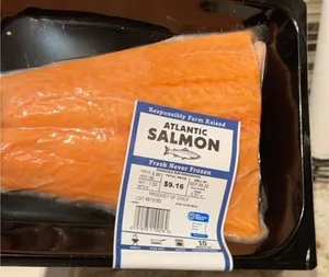 Atlantic Salmon