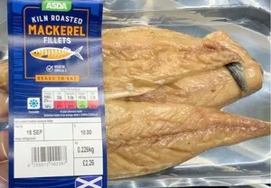 Mackarel fillets