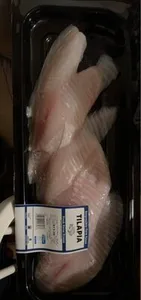 Tilapia