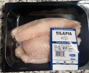 Tilapia