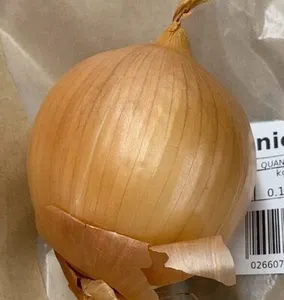 Onion