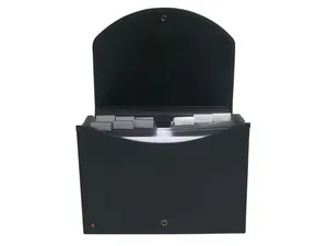 Hemarkiv EXACOMPTA 13 flikar svart