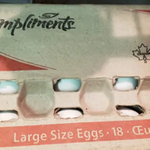 Large Eggs