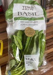Basil