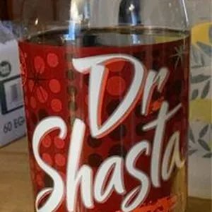 Dr Shasta