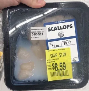 Scallops