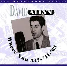 Allyn David: Where You At