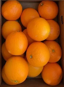 Navel Oranges