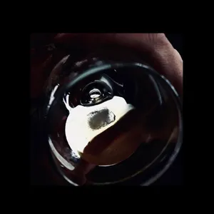 Forest Management: After Dark