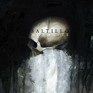 Saltillo: Monocyte