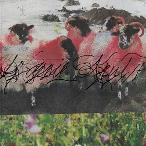 Krut Kassie: Kassie Krut (Deluxe)