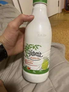 fermentisana surutka