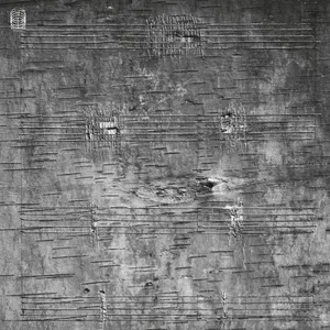 Archambault Timothy: Onimikìg