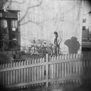 Vollebekk Leif: Inland