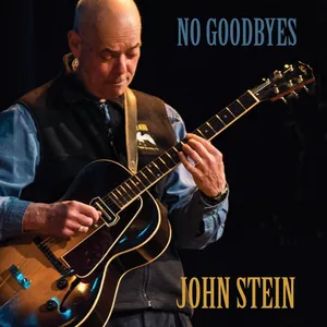 Stein John: No Goodbyes