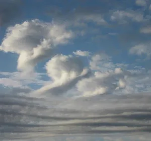 Peters Steve: Airforms