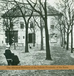 Selfhaters: Abysmal Richness Of The Infinite...