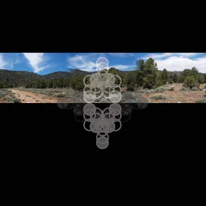 Carter Tom: Long Time Underground