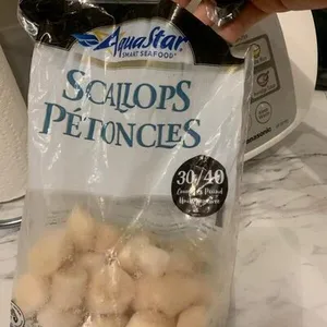 Scallops
