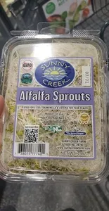 Alfalfa sprouts