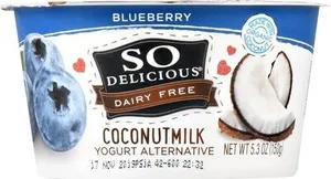 Coconutmilk Yogurt Alternative, Blueberry