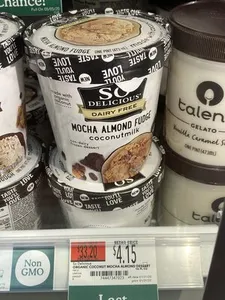 Coconut Milk Non-Dairy Frozen Dessert Mocha Almond Fudge