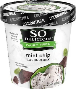 Coconut Milk Non-Dairy Frozen Dessert Mint Chip