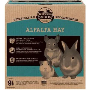 Oxbow Alfalfa Hö 4 kg