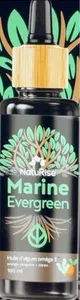 Marine Evergreen