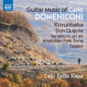 Domeniconi Carlo: Guitar Music