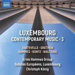 Ernie Hammes Group: Luxembourg Contemporary...
