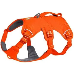 Ruffwear Web Master Hundsele Orange XS