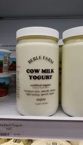 Cow Milk Yogurt