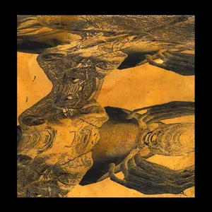 Dorji Tashi: Tashi Dorji