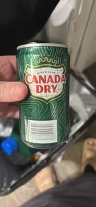 Canada Dry