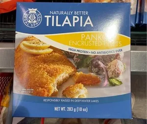 Tilapia