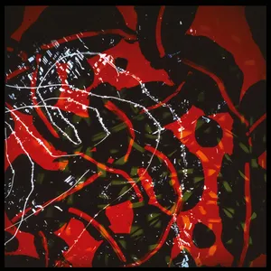 Eno Brian: Nerve net