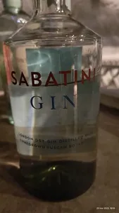 Gin