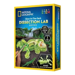 National Geographic Gecko Dissection Lab