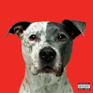 El Khatib Hanni: Flight