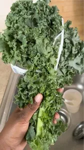 Kale