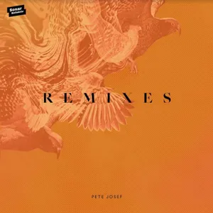Josef Pete: Remixes