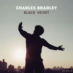 Bradley Charles: Black velvet 2018