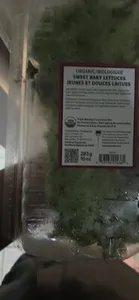 Classic salads organic