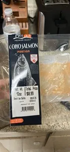 Coho Salmon