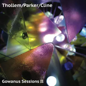 Thollem/Parker/Cline: Gowanus Sessions II